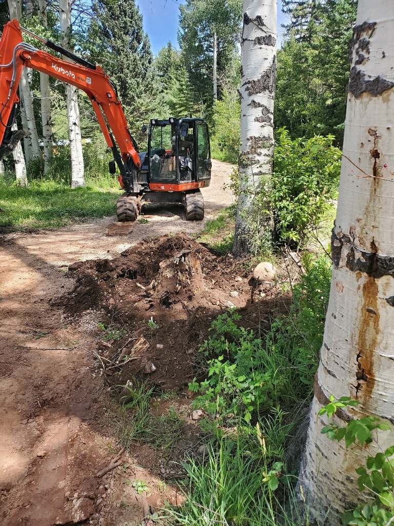Excavator working in forest terrain
